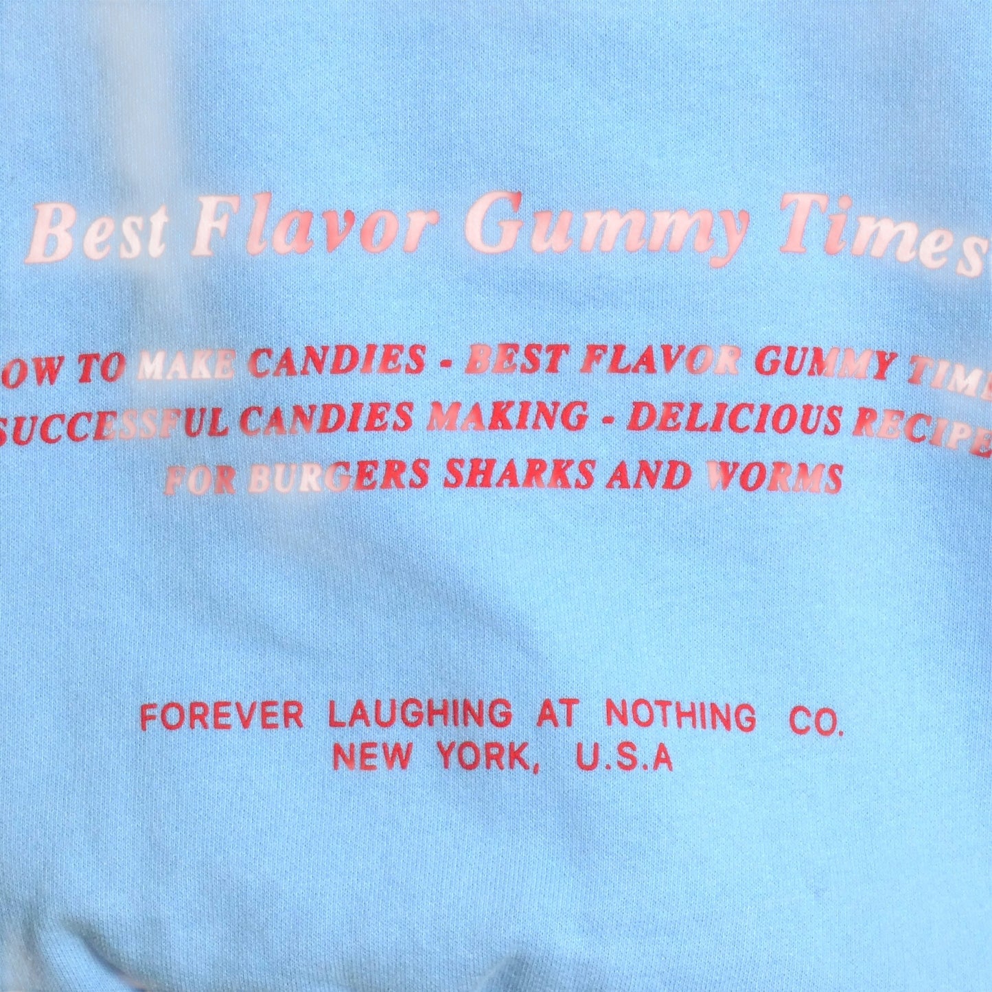 FLAN- "Famous Worms" Graphic Print Sweatshirt, Size Small