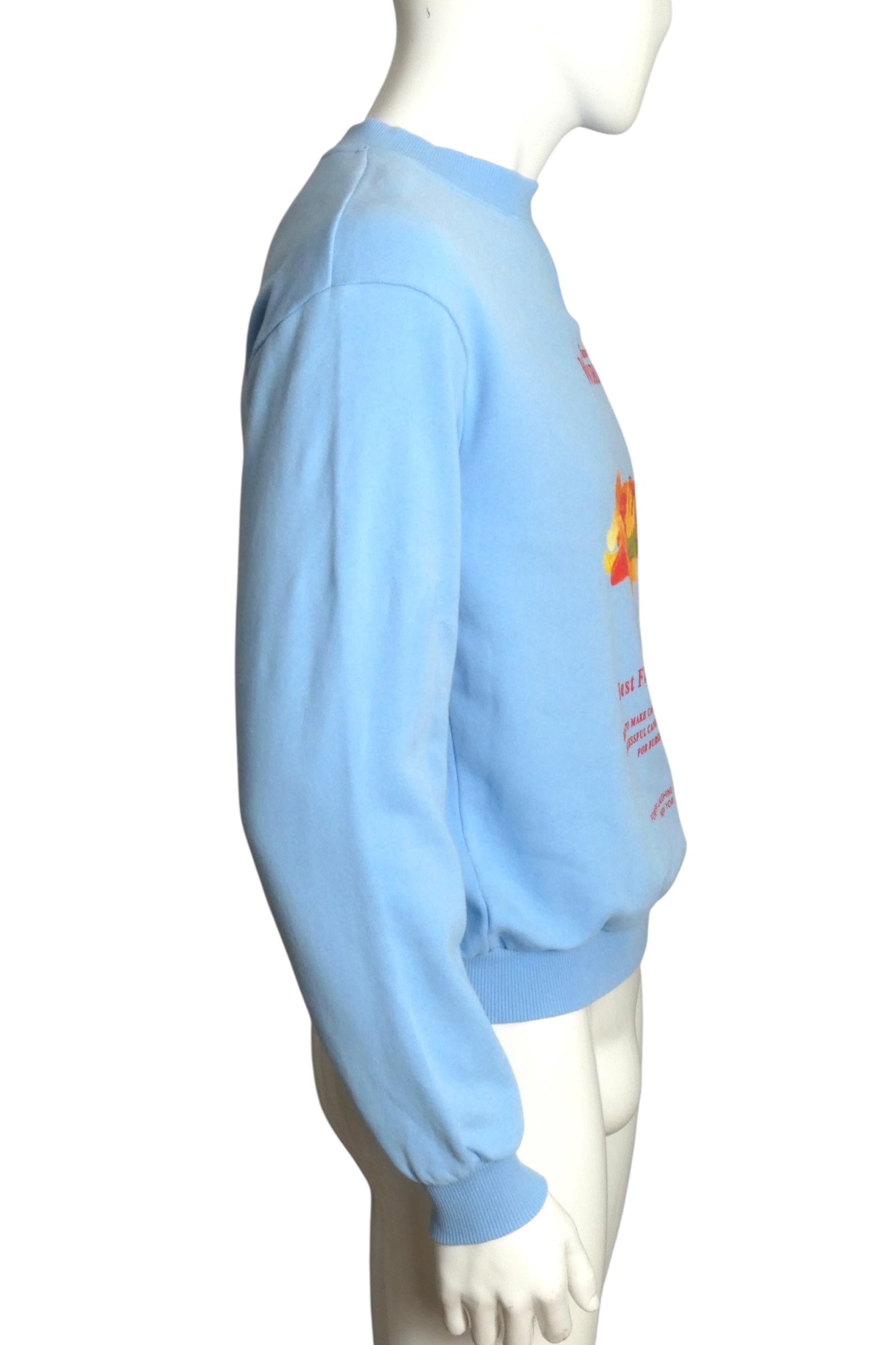 FLAN- "Famous Worms" Graphic Print Sweatshirt, Size Small