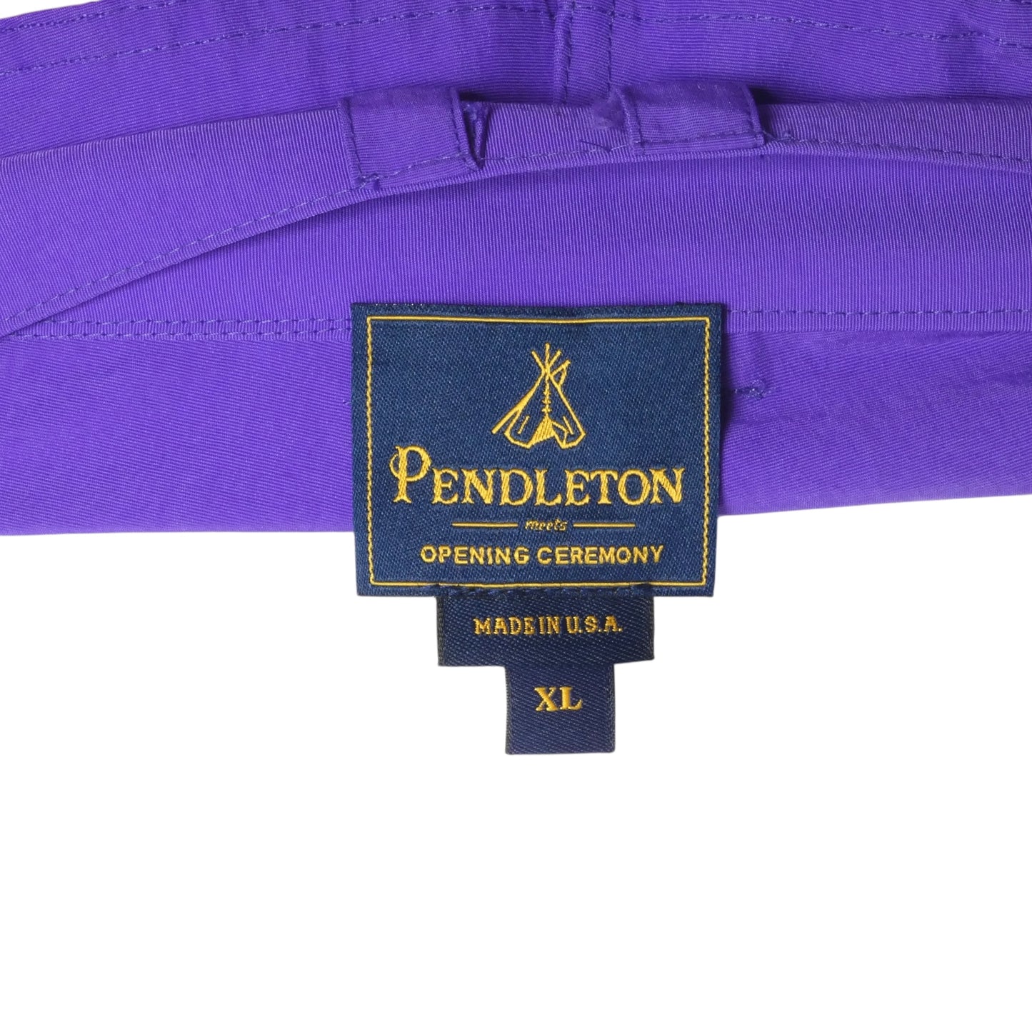 2010 Nylon Shorts, Waist-36