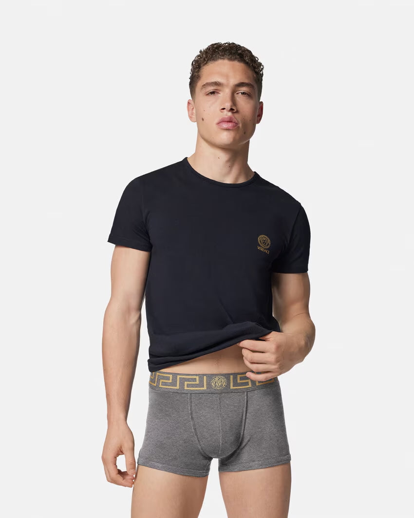 VERSACE- NIB Gray Low Rise Trunk, Multiple Sizes Available