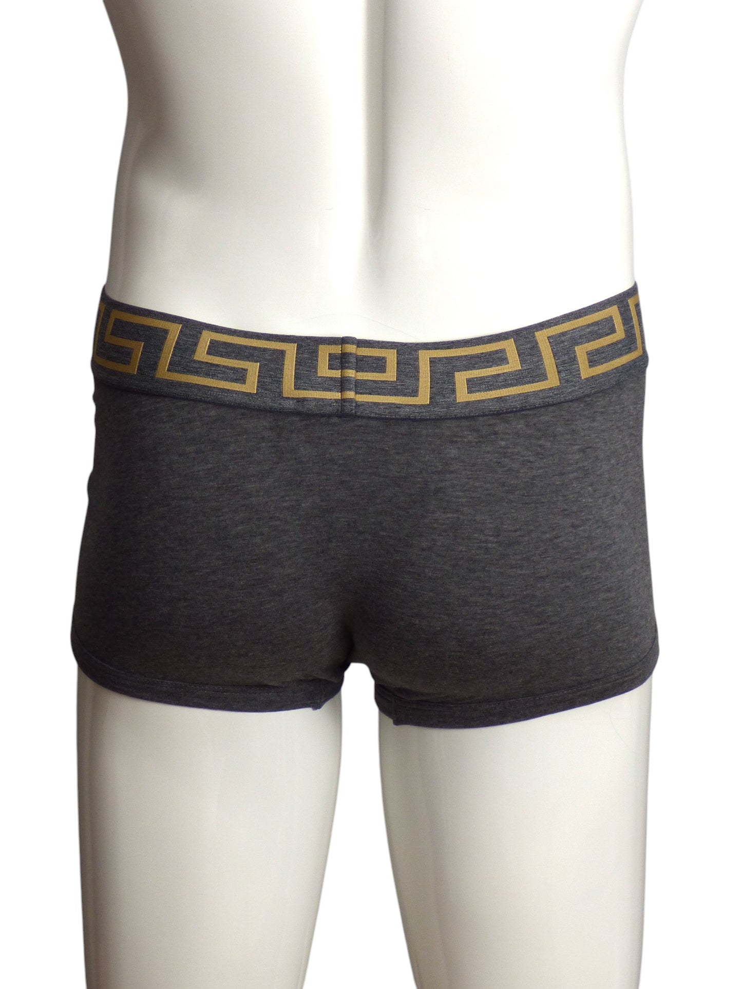 VERSACE- NIB Gray Low Rise Trunk, Multiple Sizes Available