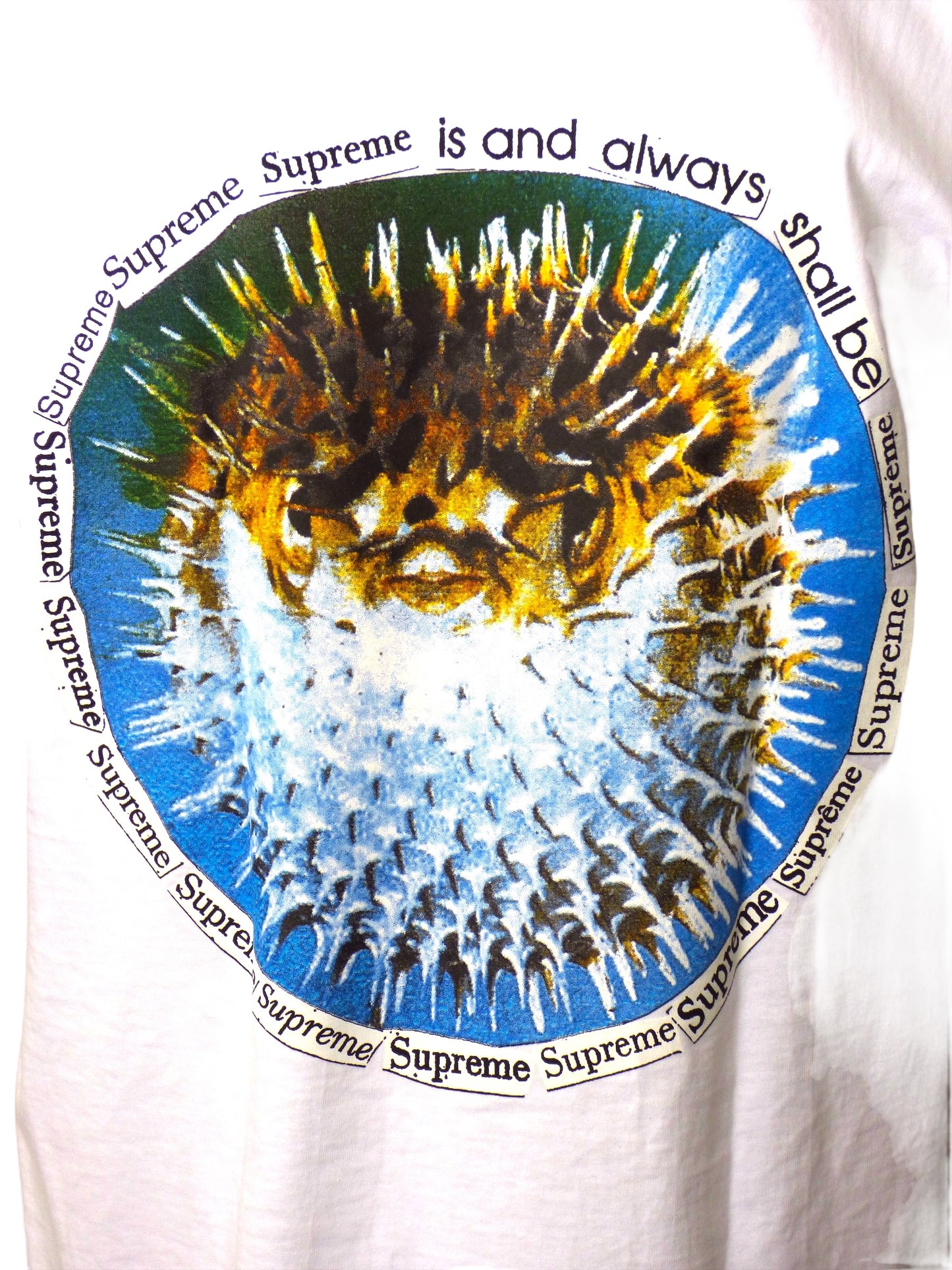 SUPREME- 2023 White Blow Fish Graphic Print T-Shirt, Size Large