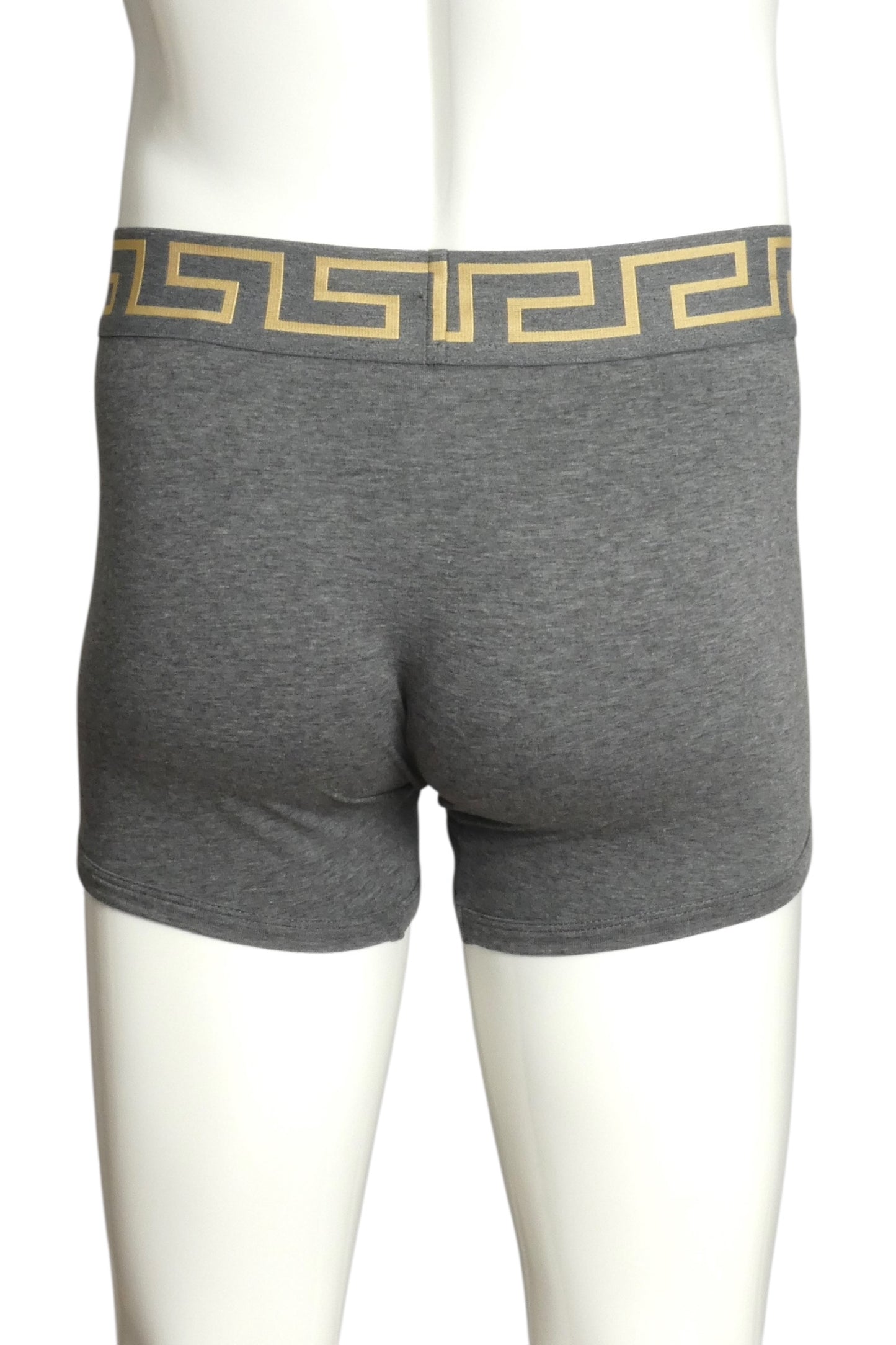 VERSACE- NIB Gray Trunk, Size XS