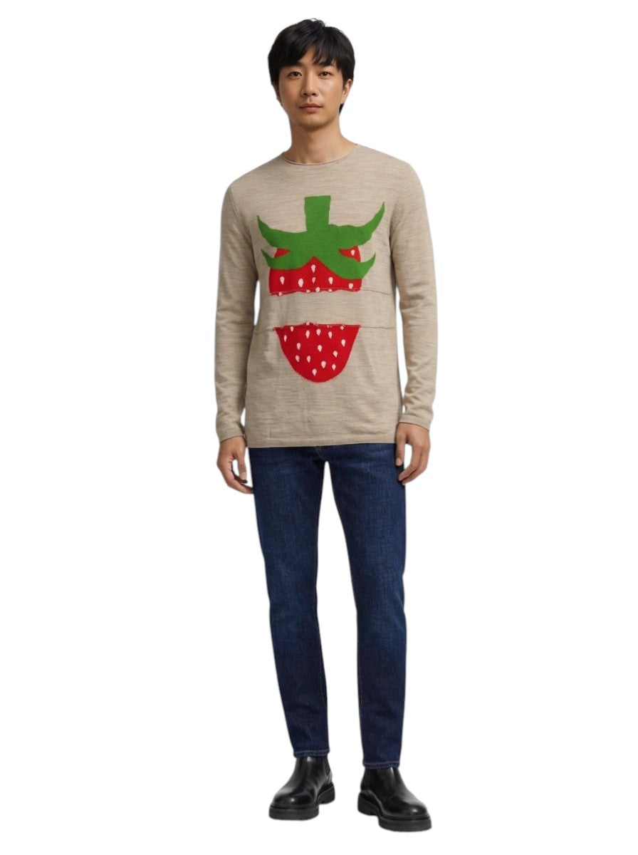 2023 NWT Strawberry Sweater, Size Large
