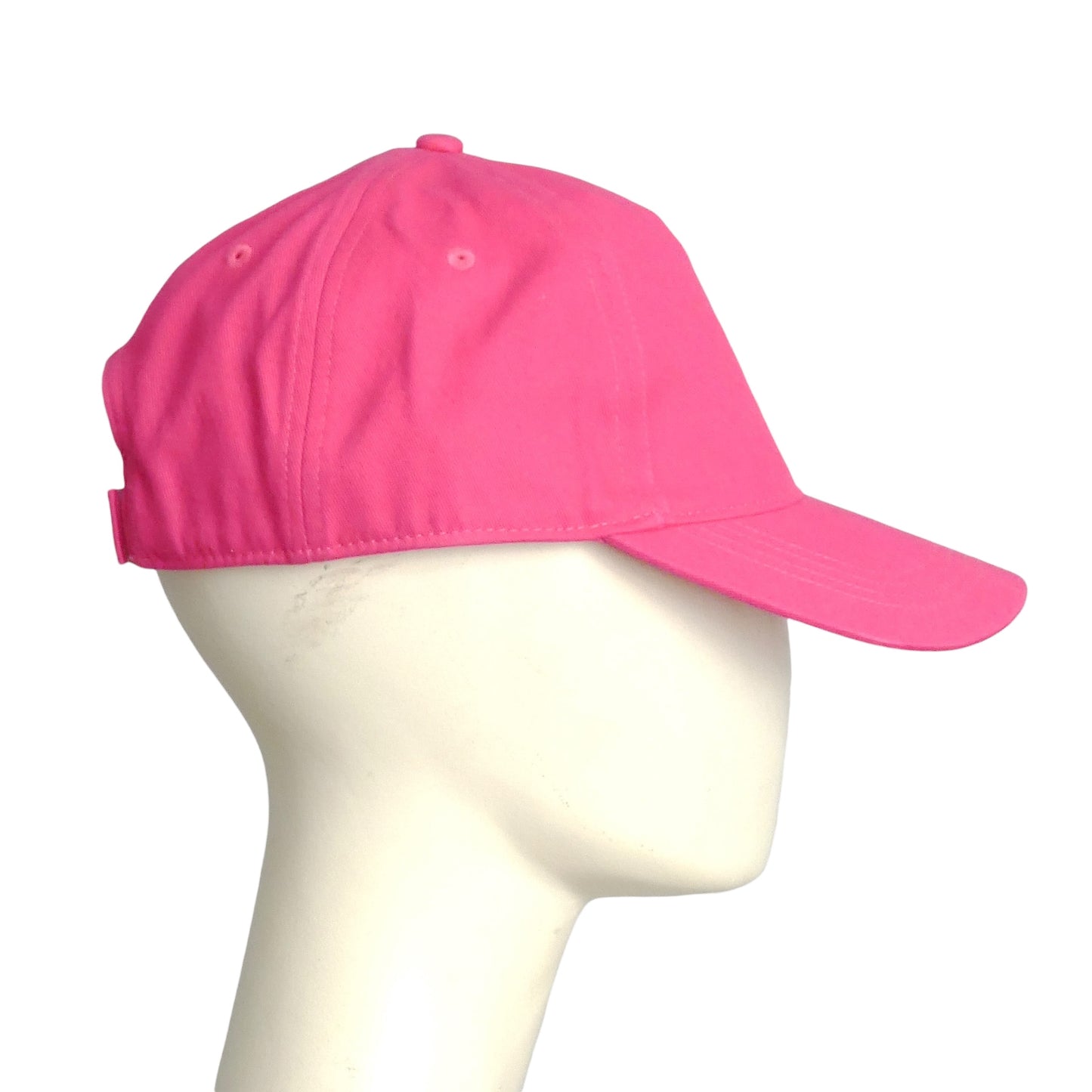 2022 NWT Logo Baseball Cap