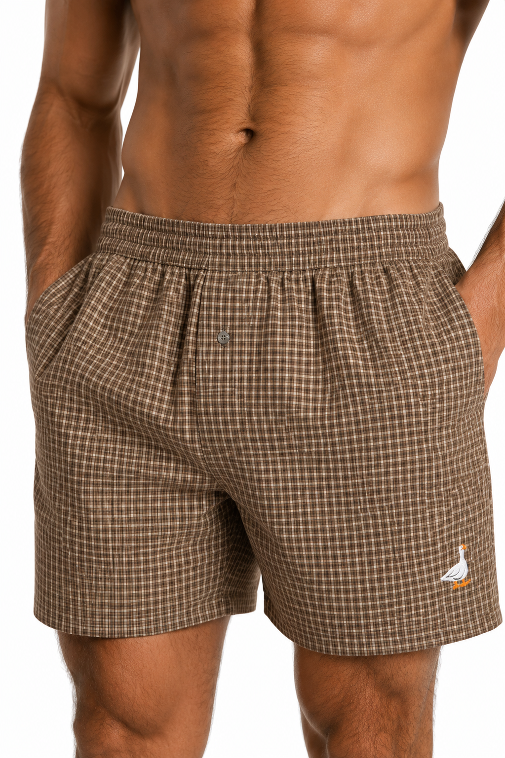 NWT 2025 Cotton Print Shorts, Waist 32