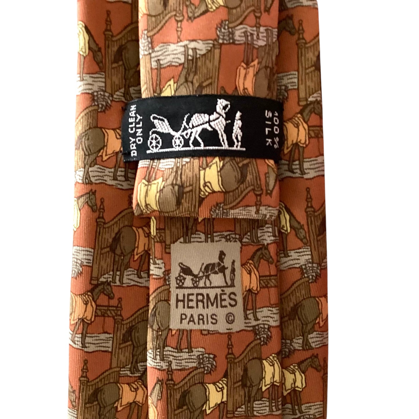 Printed Silk Tie