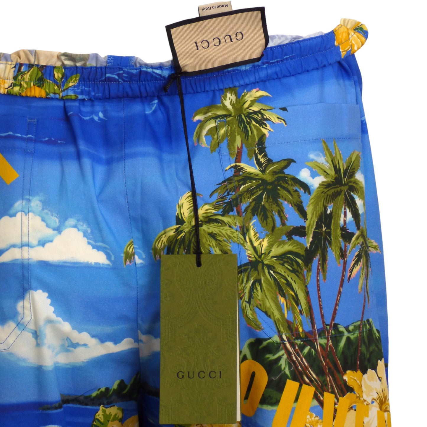 GUCCI- NWT 2022 Los Angeles Beach Shorts, Waist-38"